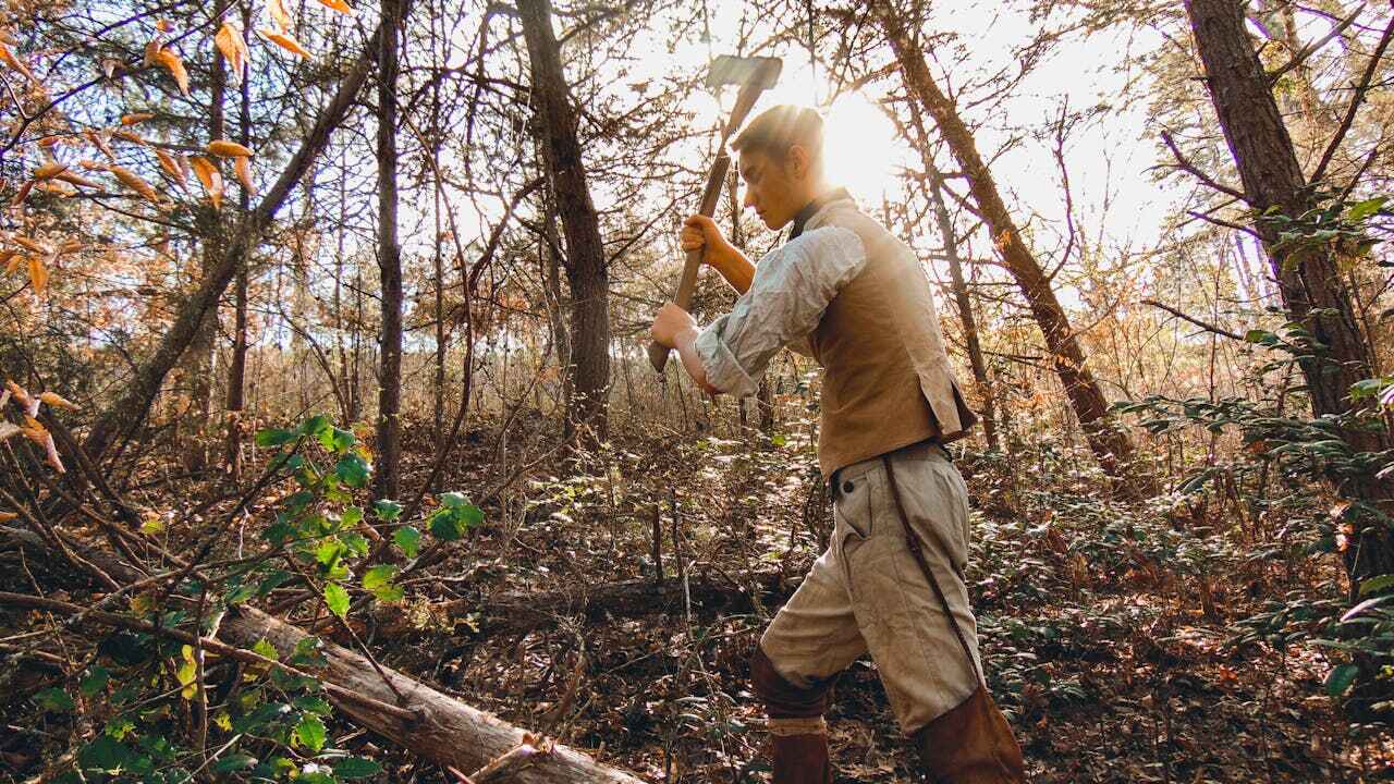 Dead Tree Removal in Tariffville, CT